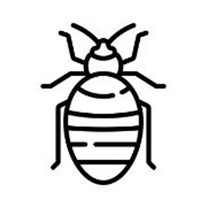 Nuestros Filtros HEPA te protegen Nuestros Filtros HEPA te protegen